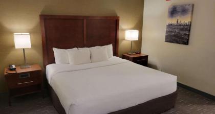 Comfort Inn Downers Grove - Lombard - image 11