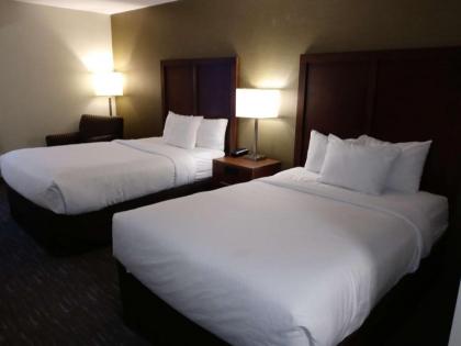 Comfort Inn Downers Grove - Lombard - image 15