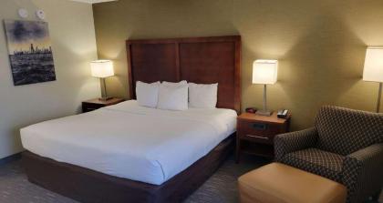 Comfort Inn Downers Grove - Lombard - image 9