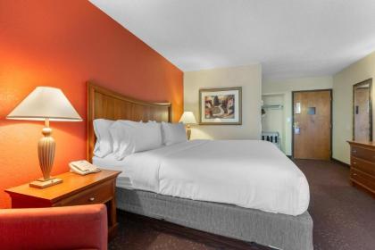 Holiday Inn Express Chicago-Downers Grove an IHG Hotel - image 2