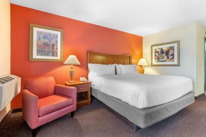 Holiday Inn Express Chicago-Downers Grove an IHG Hotel - image 6