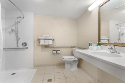 Holiday Inn Express Chicago-Downers Grove an IHG Hotel - image 8