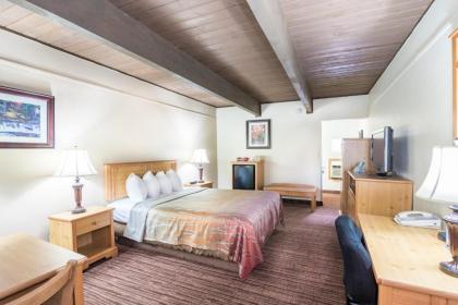 Teton West Motel - image 9