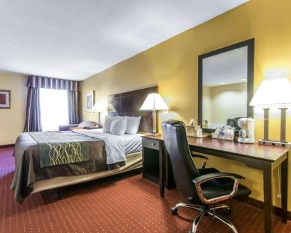 Quality Inn - image 11