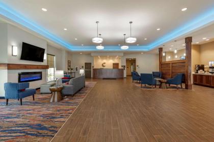 Comfort Suites - image 2