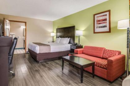 Quality Inn & Suites Dublin - image 12