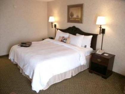 Hampton Inn Dublin - image 12