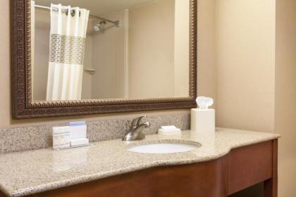 Hampton Inn Dubuque - image 11