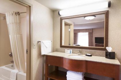 Hampton Inn Dubuque - image 5