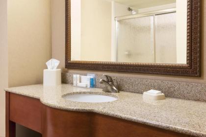 Hampton Inn Dubuque - image 9