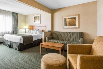 Quality Inn Dubuque - image 10