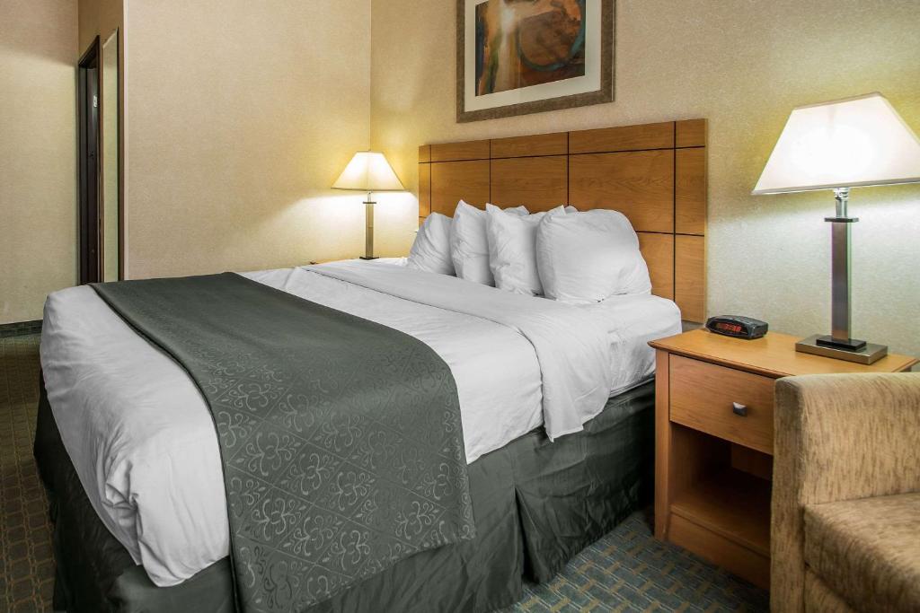 Quality Inn Dubuque - image 2