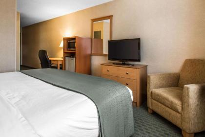 Quality Inn Dubuque - image 6