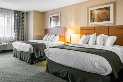 Quality Inn Dubuque - image 7