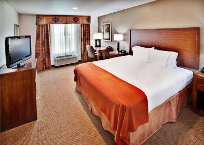 Holiday Inn Express Hotel & Suites - Dubuque West an IHG Hotel - image 12