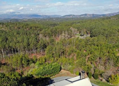 Brew with a View Lodge - Ocoee River area - image 3