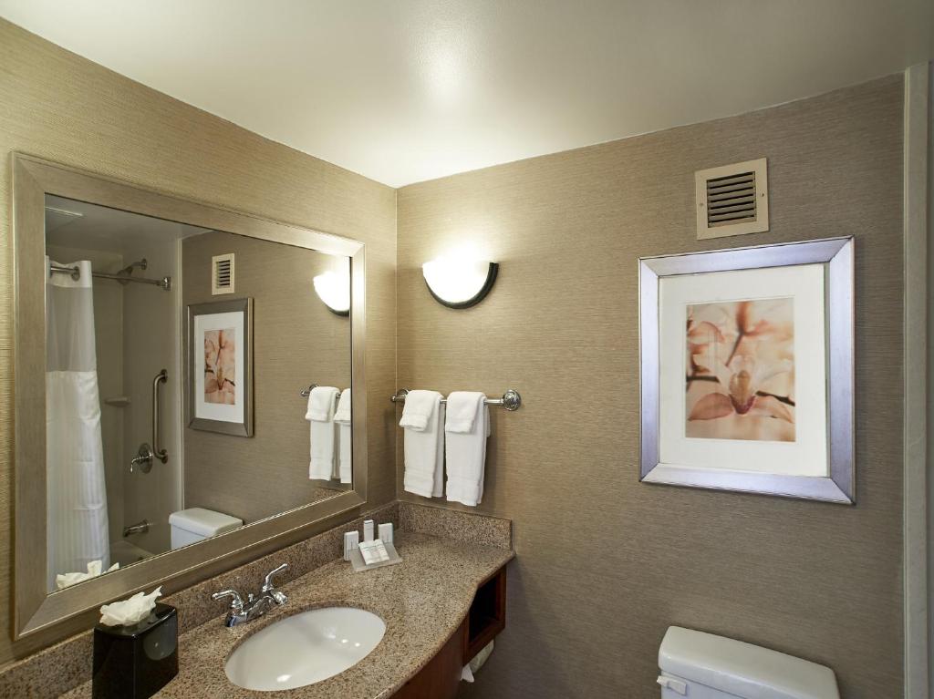 Hilton Garden Inn Atlanta Northeast/Gwinnett Sugarloaf - image 7