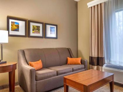 Comfort Inn Duncansville – Altoona - image 14