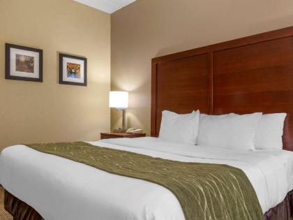 Comfort Inn Duncansville – Altoona - image 3