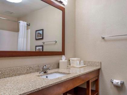 Comfort Inn Duncansville – Altoona - image 8