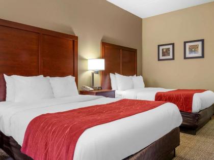 Comfort Inn Duncansville – Altoona - image 9