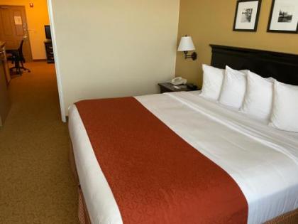 Country Inn & Suites by Radisson Dundee MI - image 3