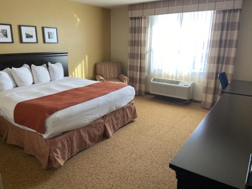 Country Inn & Suites by Radisson Dundee MI - image 7