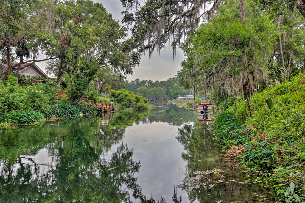 Riverfront Dunnellon Home with Private Dock - Dogs OK - image 3