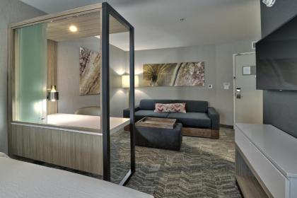 Springhill Suites by Marriott Durango - image 9