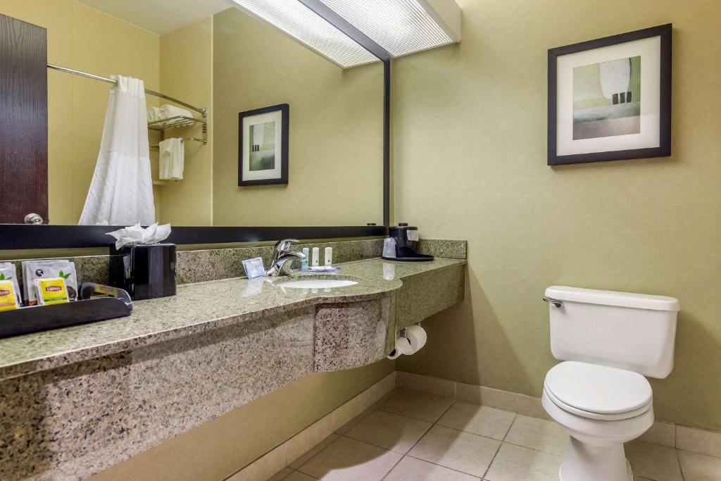 Quality Inn & Suites Durant - image 3