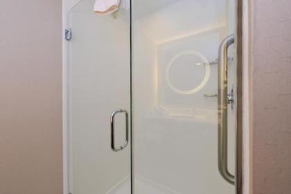 SpringHill Suites Durham Chapel Hill - image 4