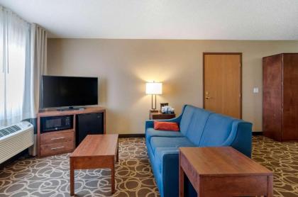 Comfort Inn Dyersville Iowa - image 11