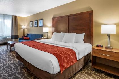 Comfort Inn Dyersville Iowa - image 14