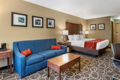 Comfort Inn Dyersville Iowa - image 15