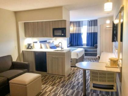 Microtel Inn & Suites by Wyndham Eagan/St Paul - image 12