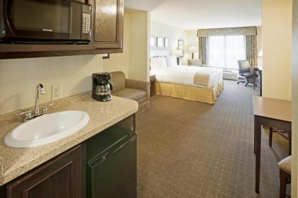 Holiday Inn Express Hotel & Suites Eagle Pass an IHG Hotel - image 8