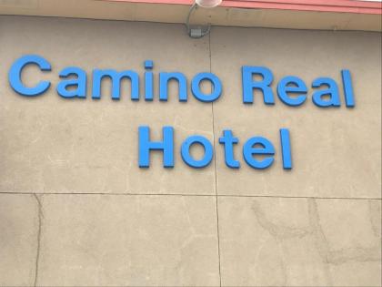 Camino Real Hotel - image 7