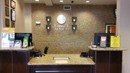 Comfort Inn & Suites Lakeside - image 5