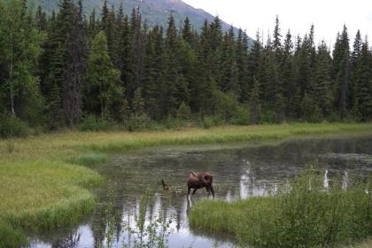 Eagle Peak Guesthouse - image 8