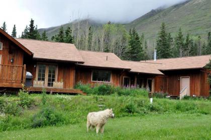 Alaska Mountain Lodge & Wedding Venue! Day Trips Offered & Near Anchorage - image 10