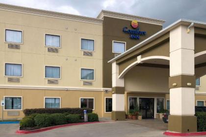 Comfort Inn Early Brownwood - image 11