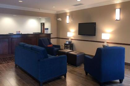 Comfort Inn Early Brownwood - image 12