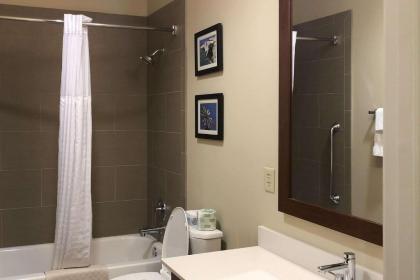 Comfort Inn Early Brownwood - image 3