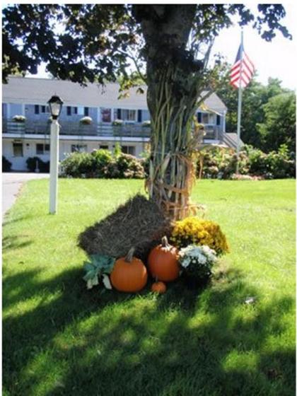 Sesuit Harbor House - image 6