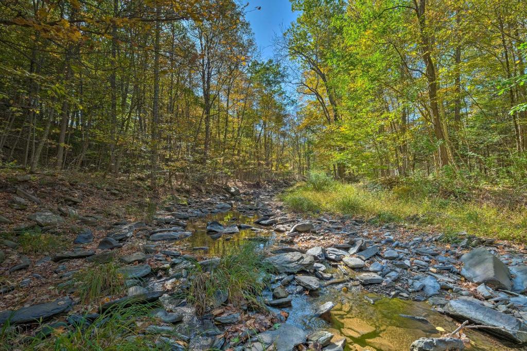 Catskill Mtn Home with Deck about 1 Miles to Zoom Flume! - image 2