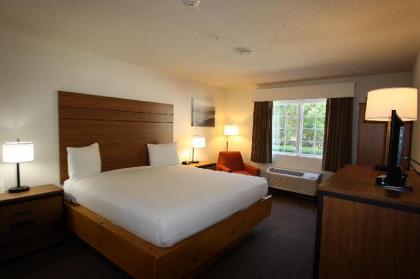 Best Western Mountain View Inn - image 8