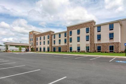 Comfort Inn & Suites East Ellijay - image 10