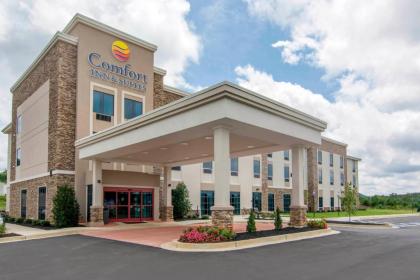 Comfort Inn & Suites East Ellijay - image 2