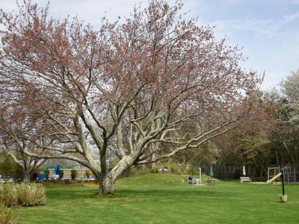 East Hampton House Resort - image 8