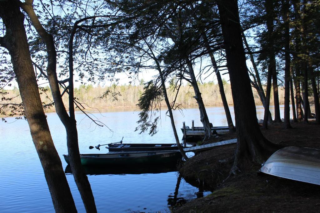 Tuxbury Pond Camping Resort Tiny House Riley - image 4